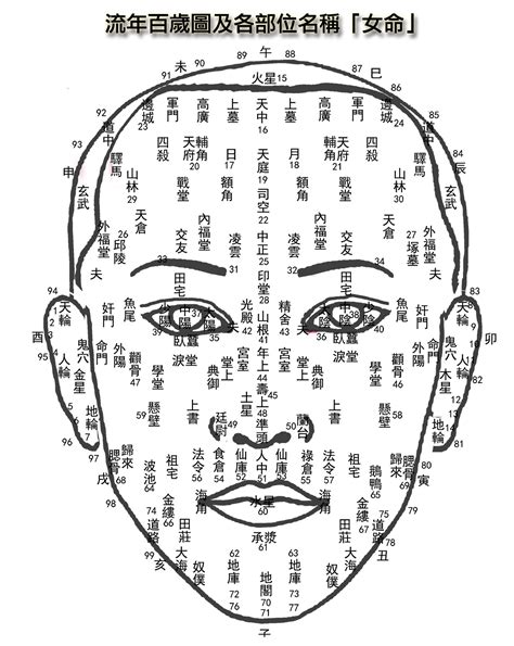 人中長面相女